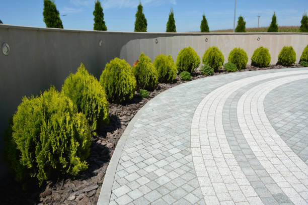 Best Professional Driveway Pavers  in West Falls Church, VA